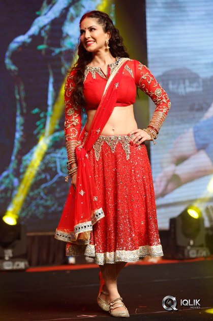 Rogue-Movie-Audio-Launch